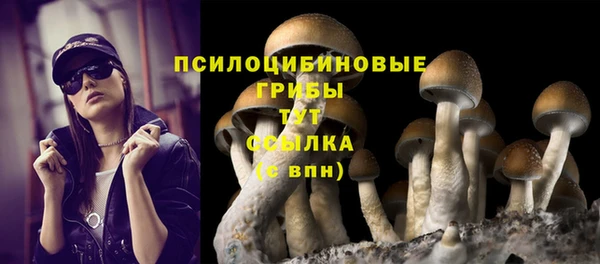 таблы Россошь