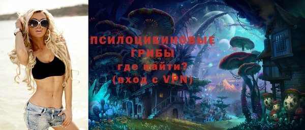a pvp Абаза