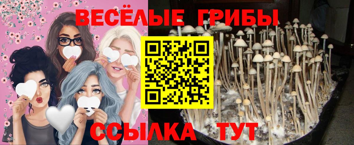 Псилоцибиновые грибы Cubensis  Псилоцибиновые грибы Magic Shrooms  Вход с VPN  Людиново 