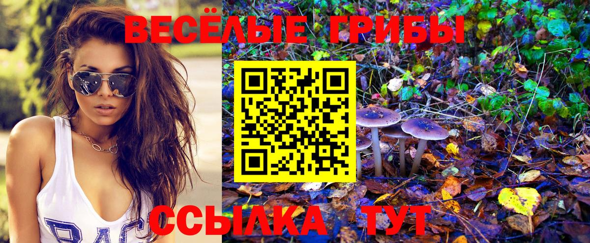 Галлюциногенные грибы мухоморы Людиново
