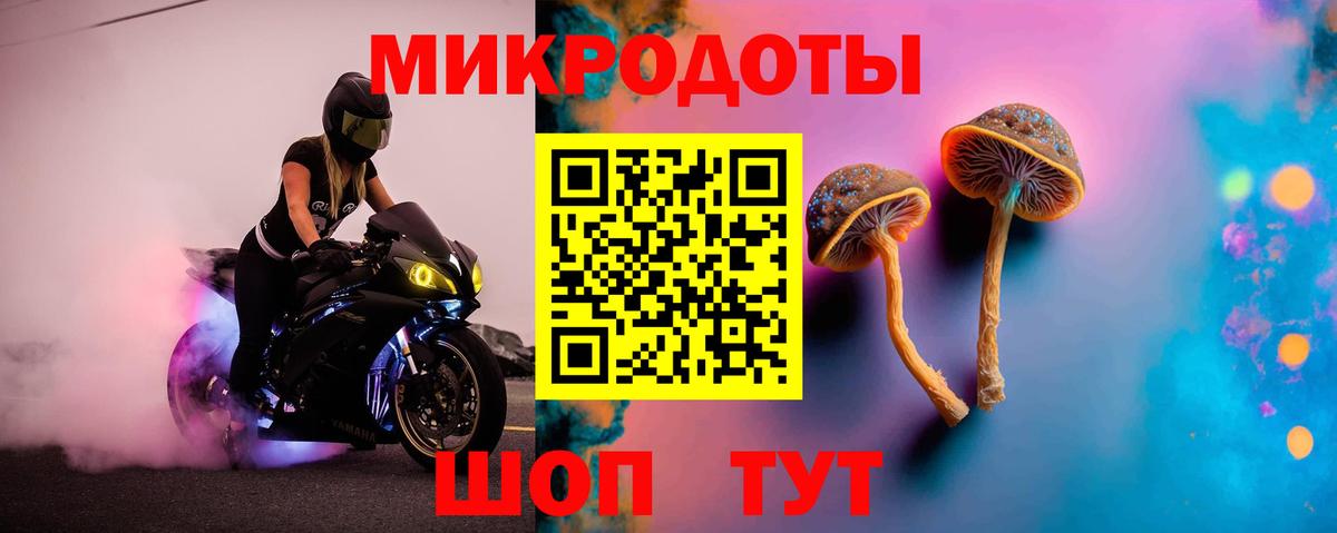 ГАШ Людиново